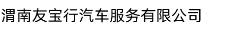 渭南友宝行汽车服务有限公司